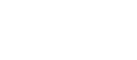 Obot