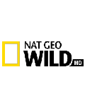Nat Geo Wild HD