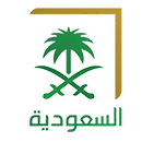 Saudi Arabian TV